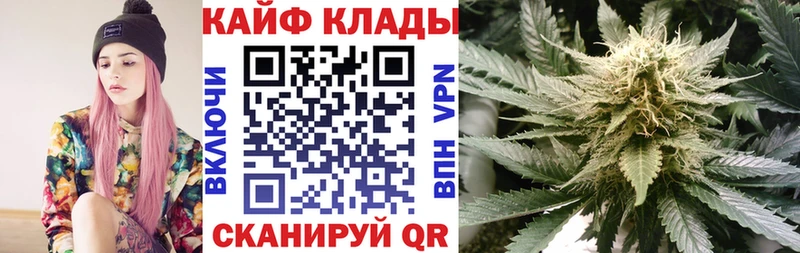  COCAIN Белозерск