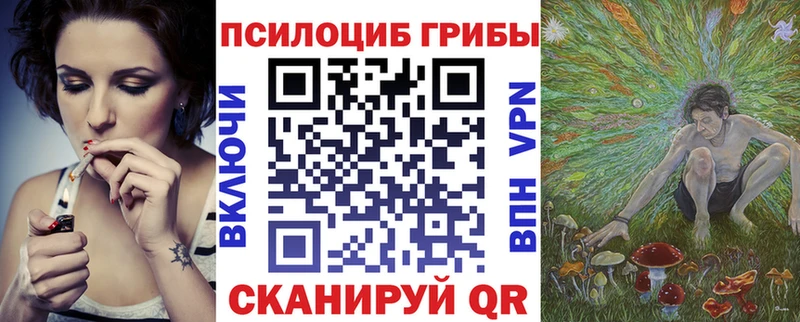 Галлюциногенные грибы прущие грибы  Белозерск 
